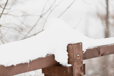 Winter Fence